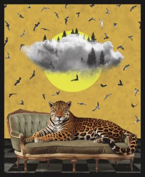 The Jaguar and the Cloud Forest – Classic Frame