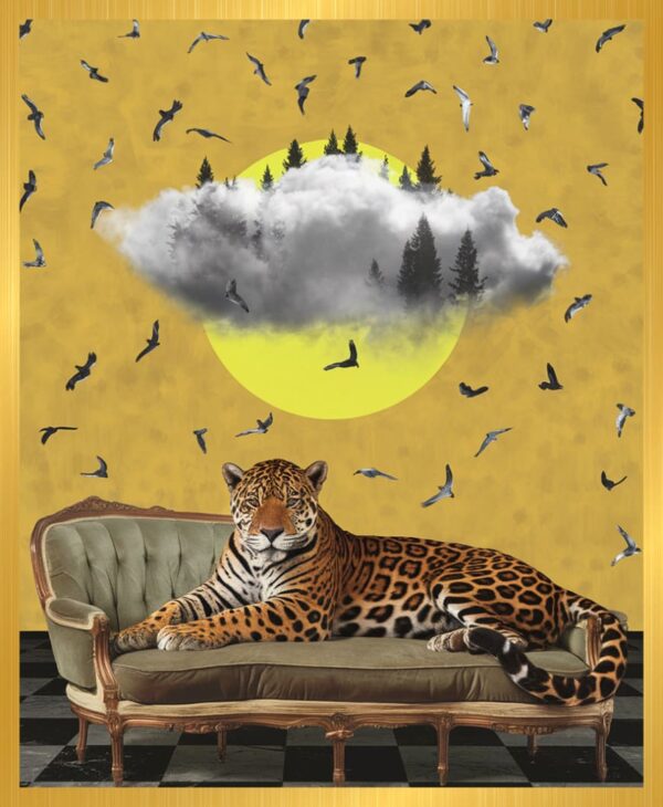 The Jaguar and the Cloud Forest – Classic Frame
