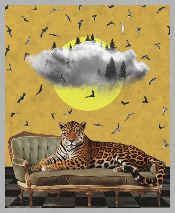 The Jaguar and the Cloud Forest – Classic Frame