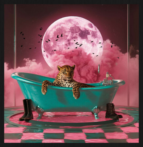 The Leopard and the Pink Moon – Classic Frame