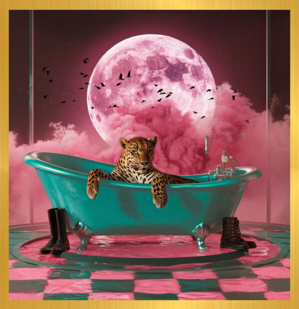 The Leopard and the Pink Moon – Classic Frame